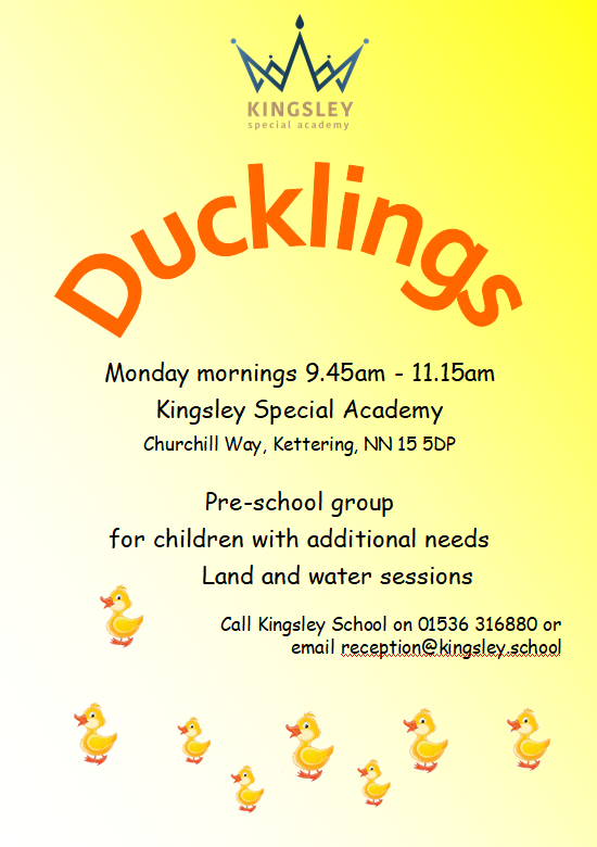 Ducklings Poster 